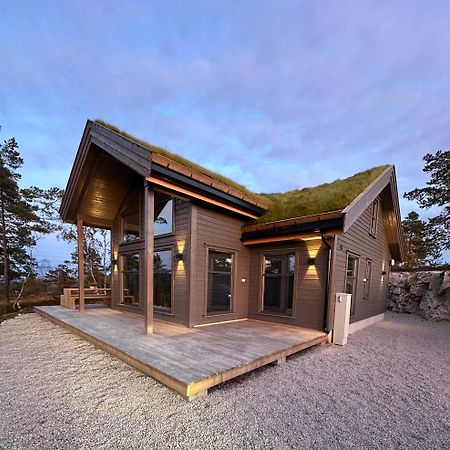 Modern Northern Lights Cabin Drangedal Exteriör bild