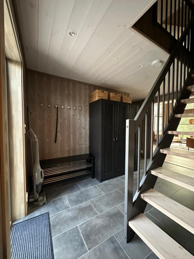 Modern Northern Lights Cabin Drangedal Exteriör bild