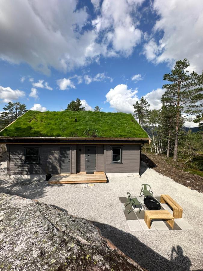 Modern Northern Lights Cabin Drangedal Exteriör bild