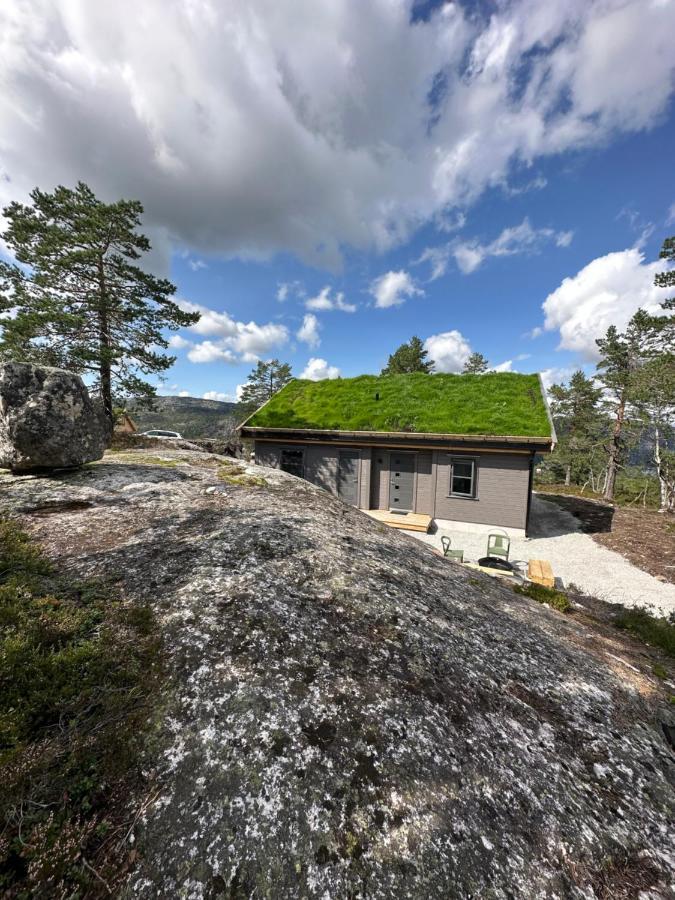 Modern Northern Lights Cabin Drangedal Exteriör bild