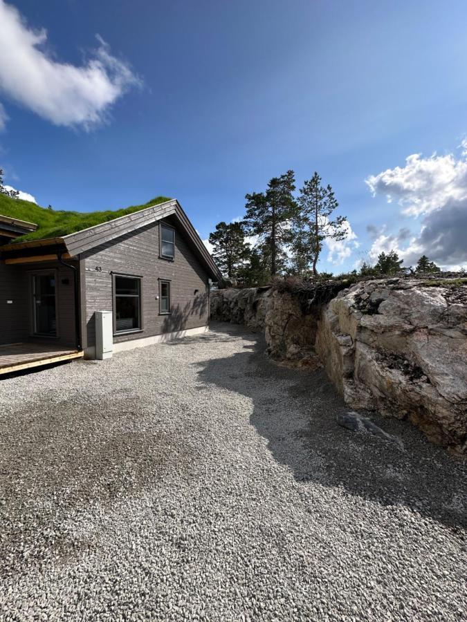 Modern Northern Lights Cabin Drangedal Exteriör bild