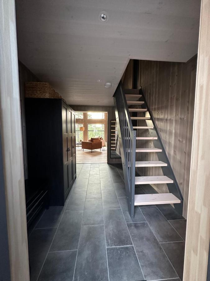 Modern Northern Lights Cabin Drangedal Exteriör bild