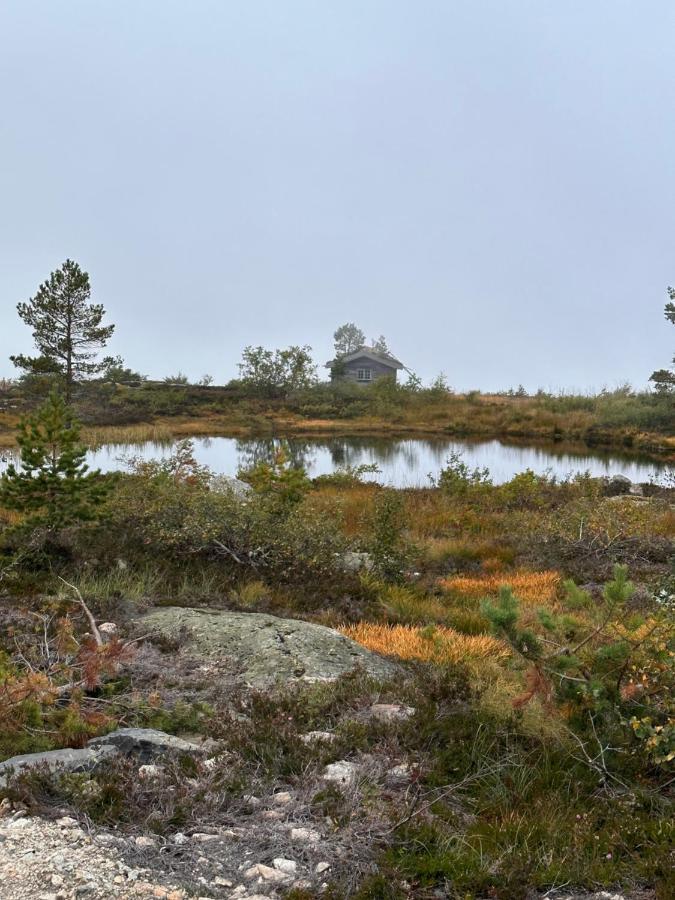 Modern Northern Lights Cabin Drangedal Exteriör bild
