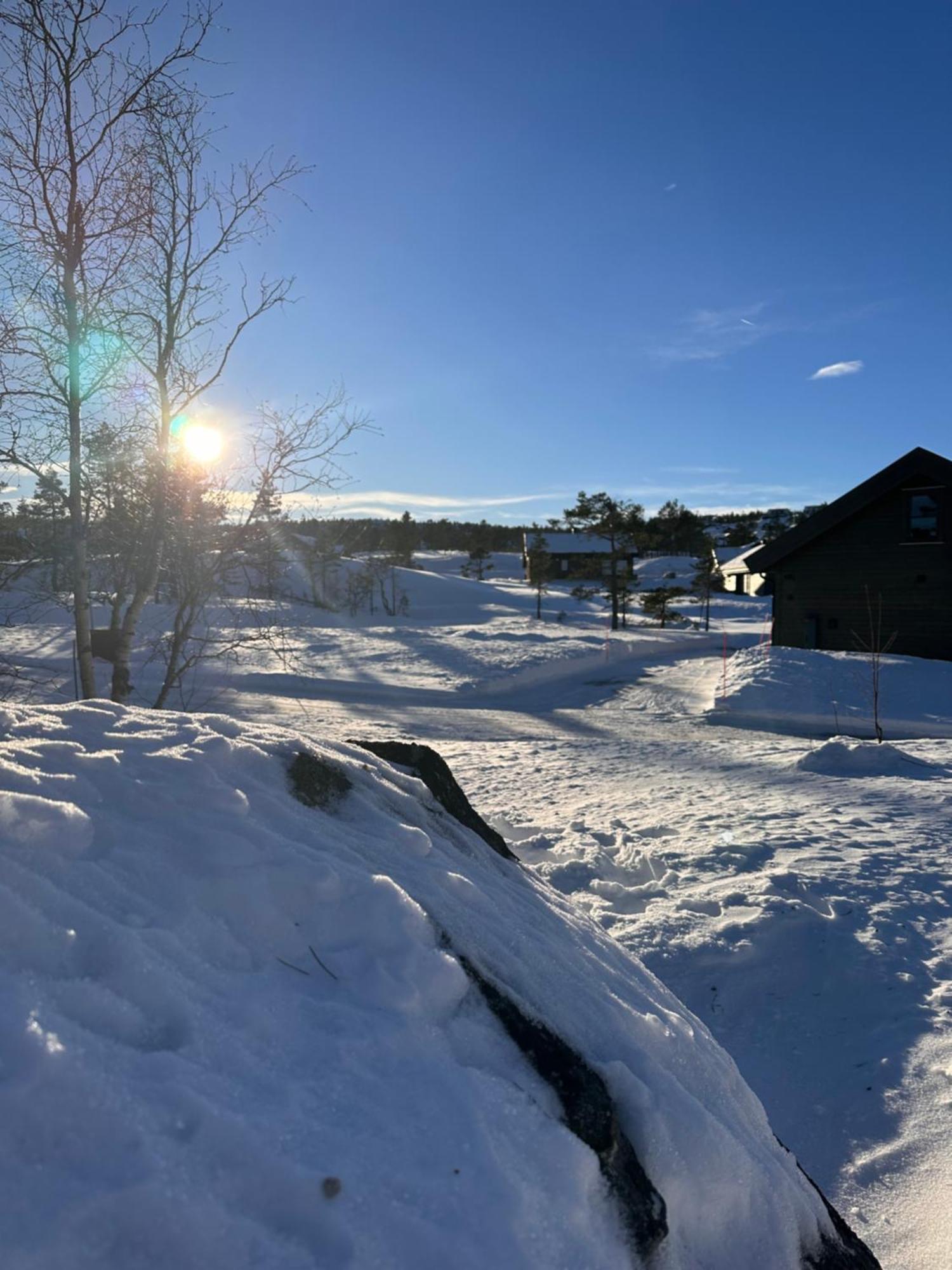 Modern Northern Lights Cabin Drangedal Exteriör bild