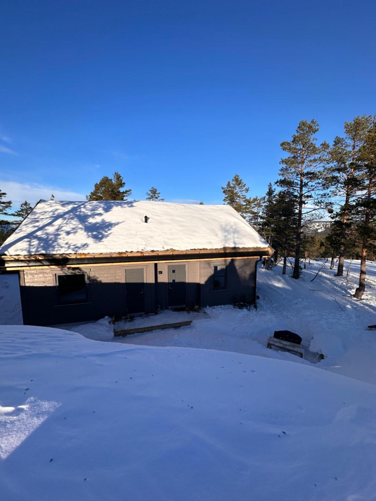 Modern Northern Lights Cabin Drangedal Exteriör bild