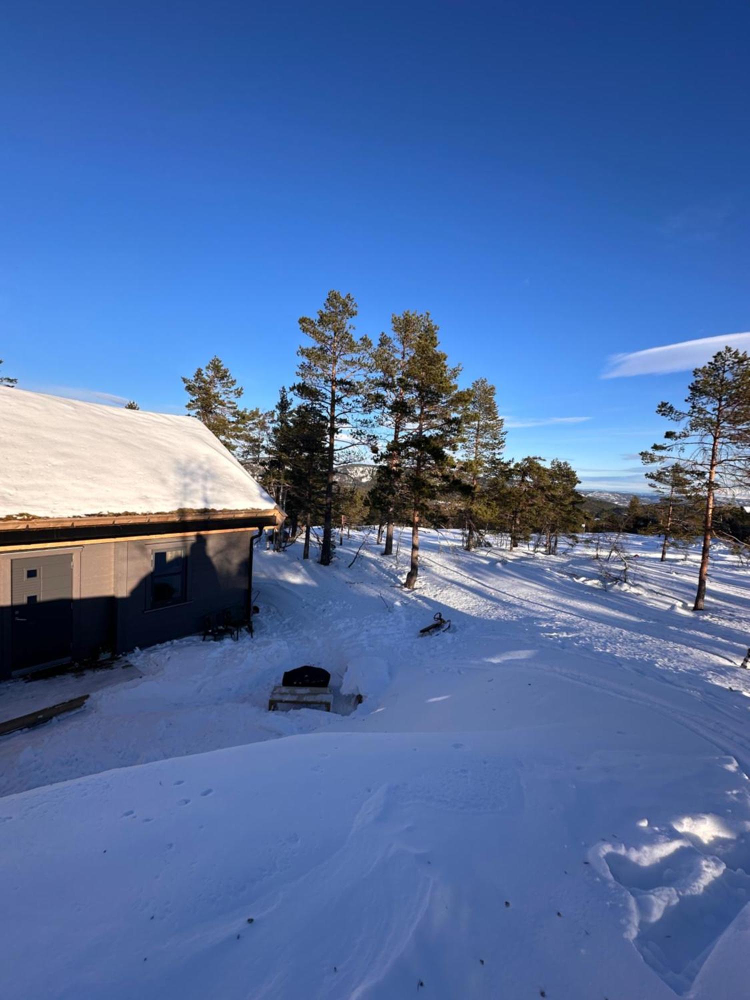Modern Northern Lights Cabin Drangedal Exteriör bild