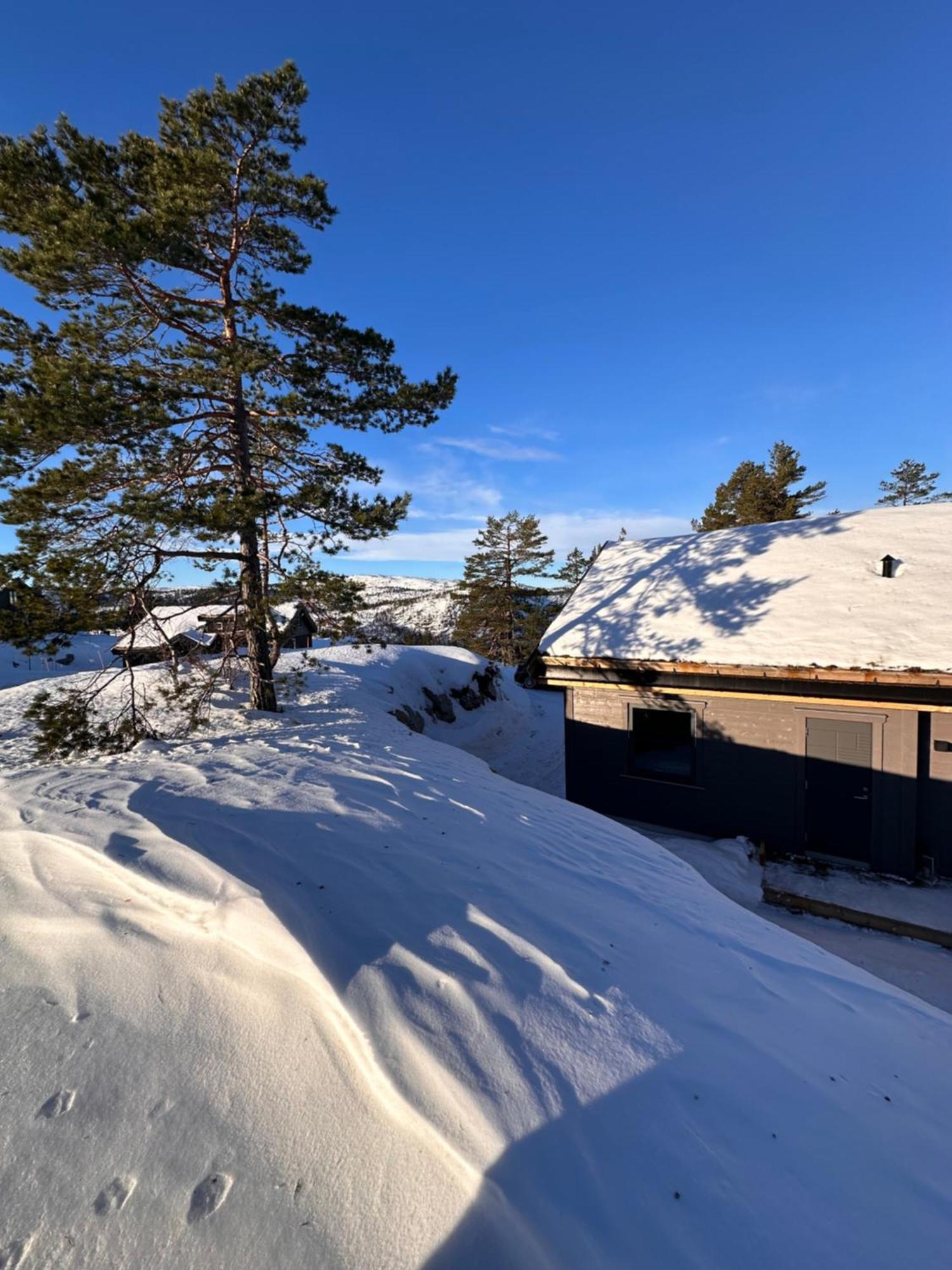 Modern Northern Lights Cabin Drangedal Exteriör bild