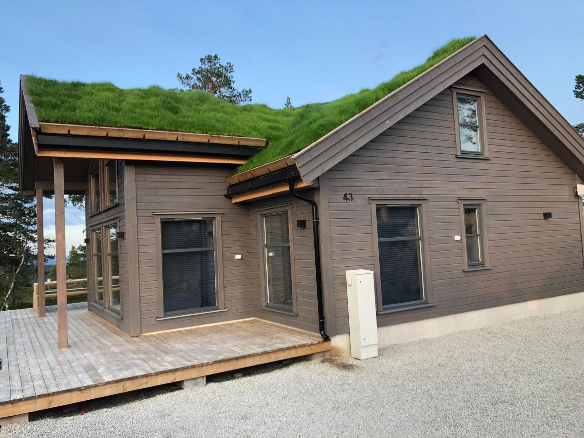 Modern Northern Lights Cabin Drangedal Exteriör bild