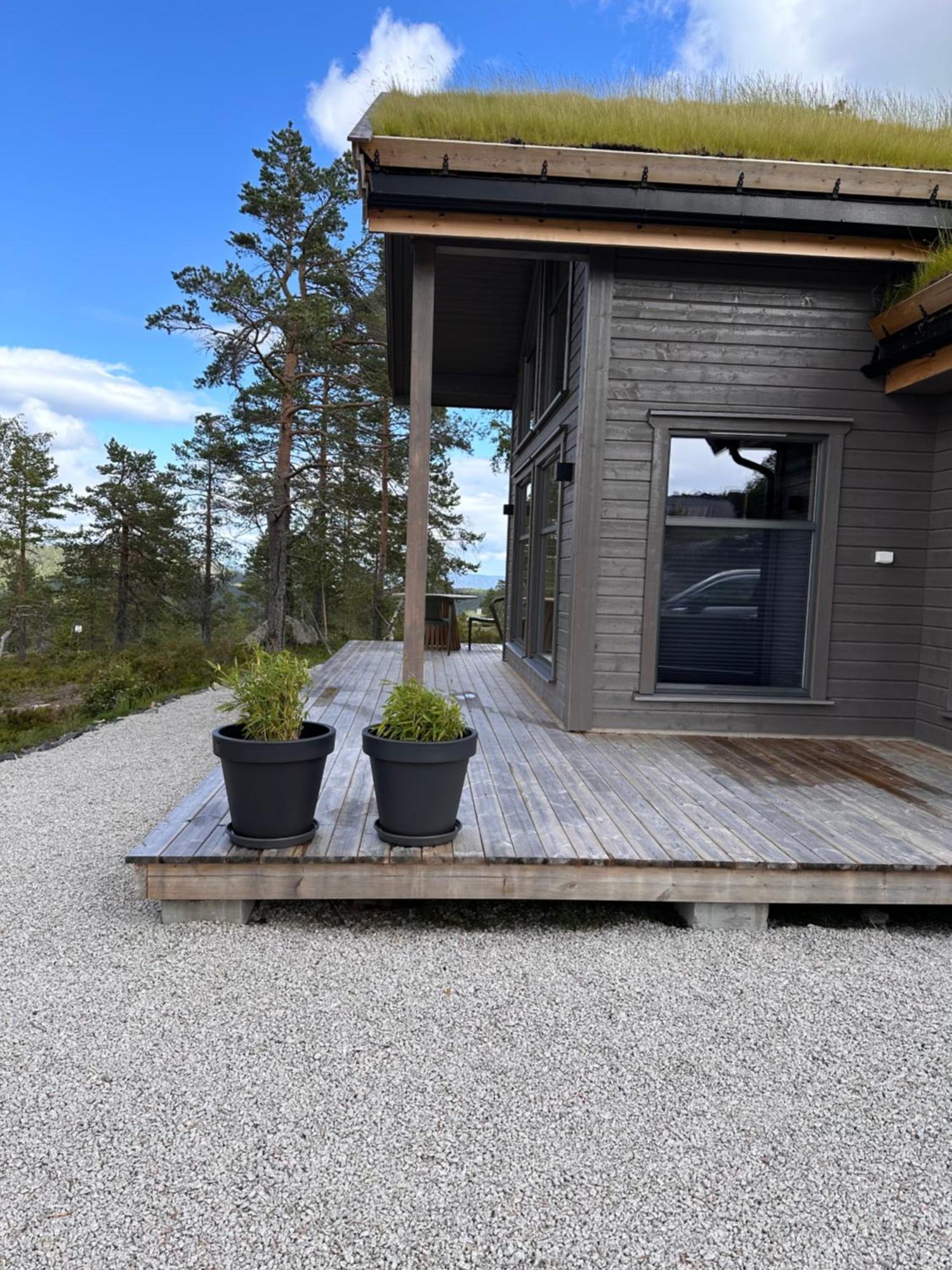 Modern Northern Lights Cabin Drangedal Exteriör bild