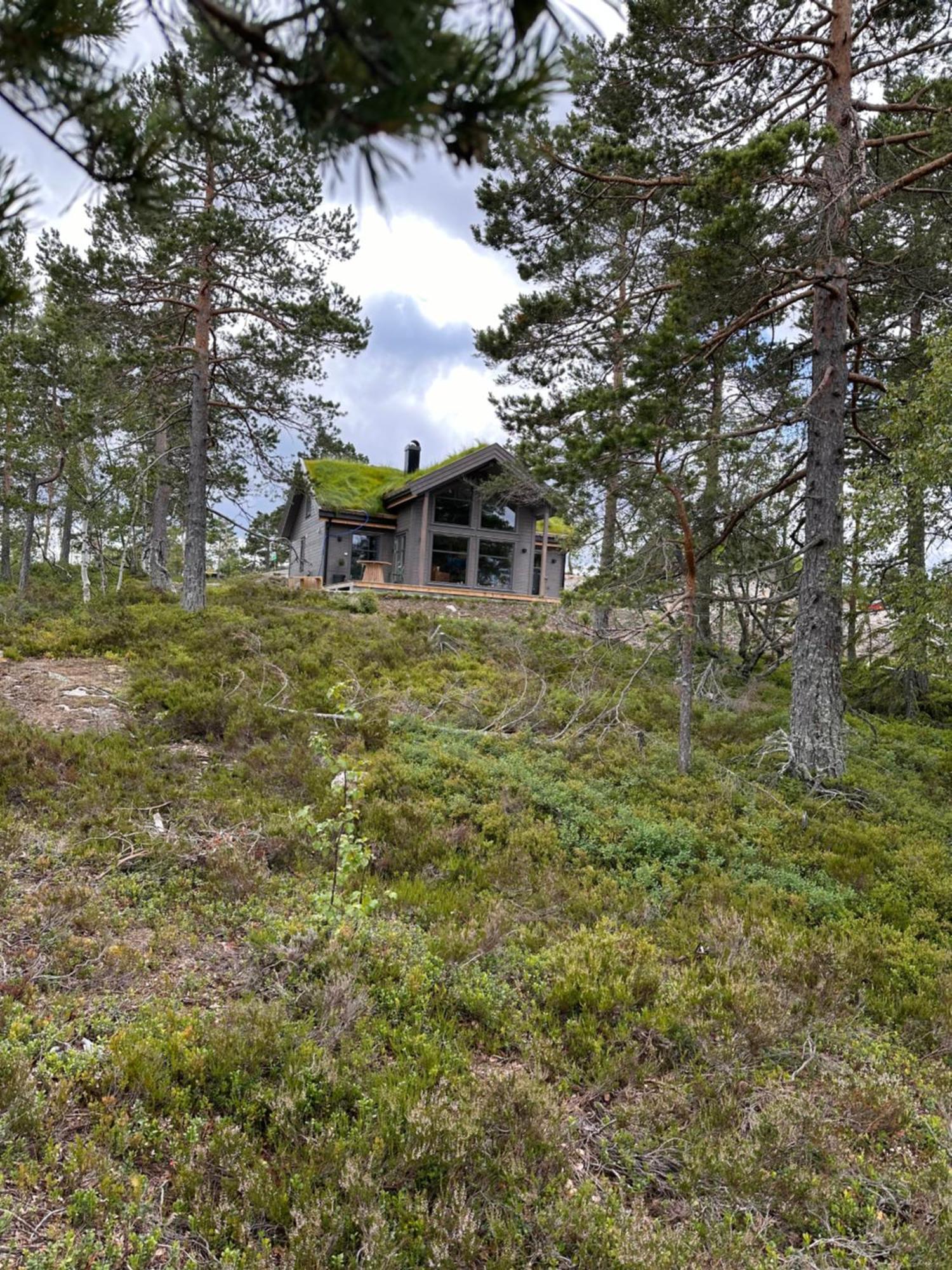 Modern Northern Lights Cabin Drangedal Exteriör bild