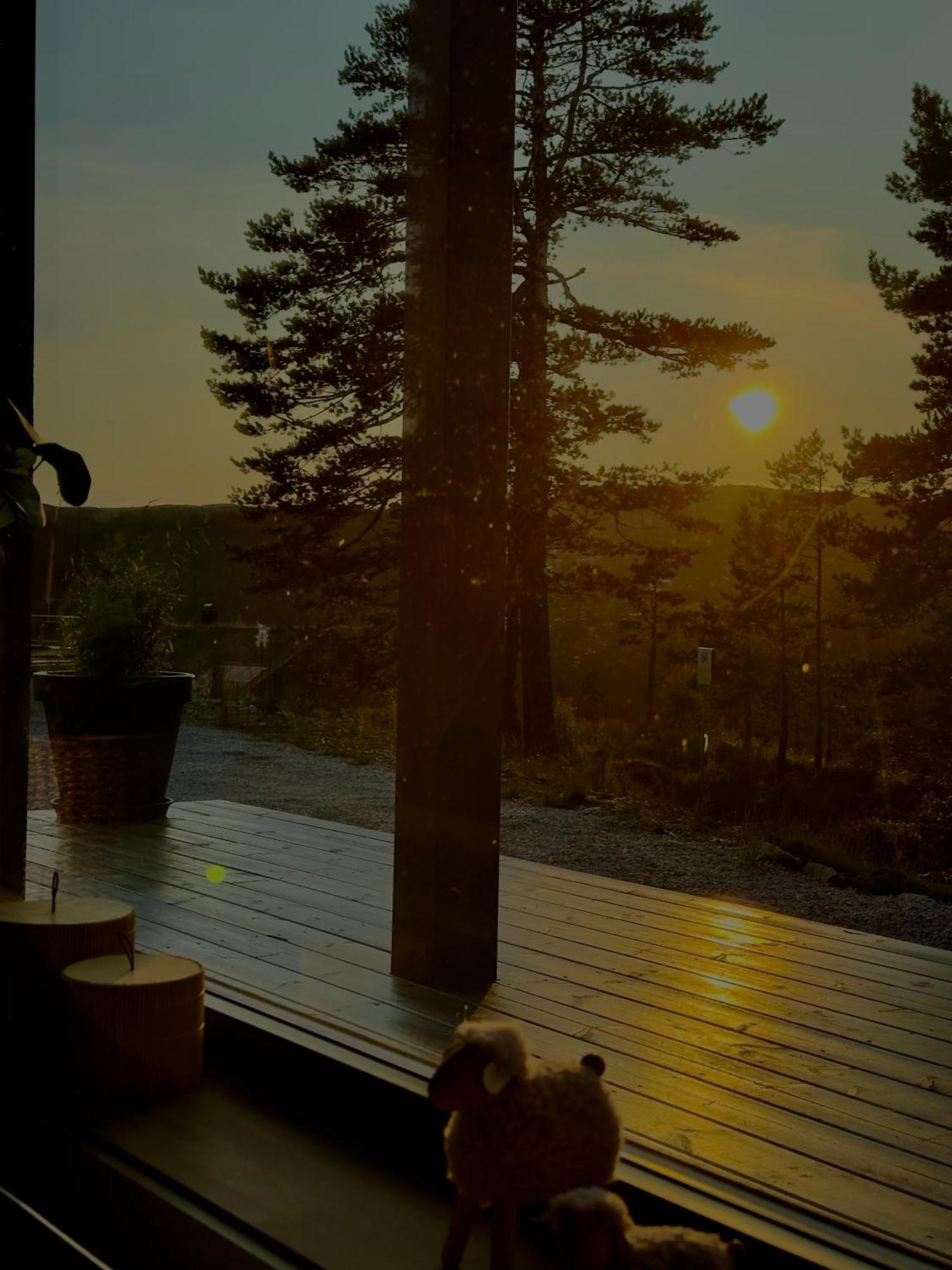 Modern Northern Lights Cabin Drangedal Exteriör bild