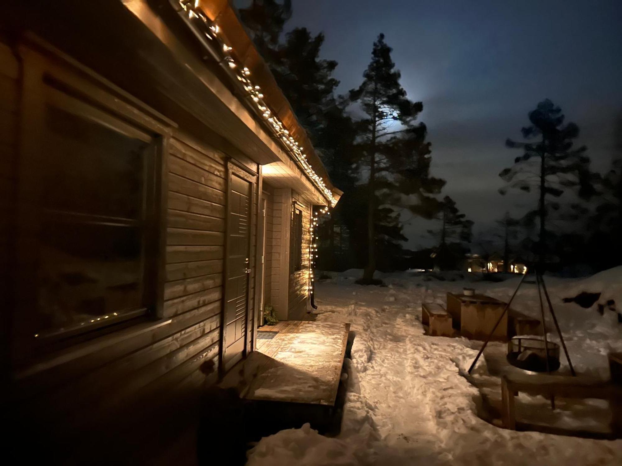 Modern Northern Lights Cabin Drangedal Exteriör bild