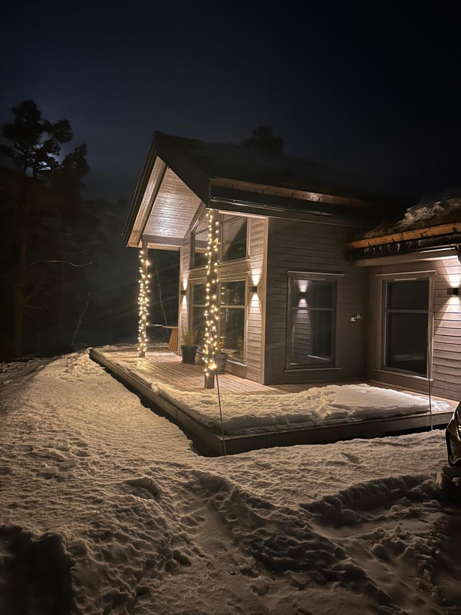 Modern Northern Lights Cabin Drangedal Exteriör bild