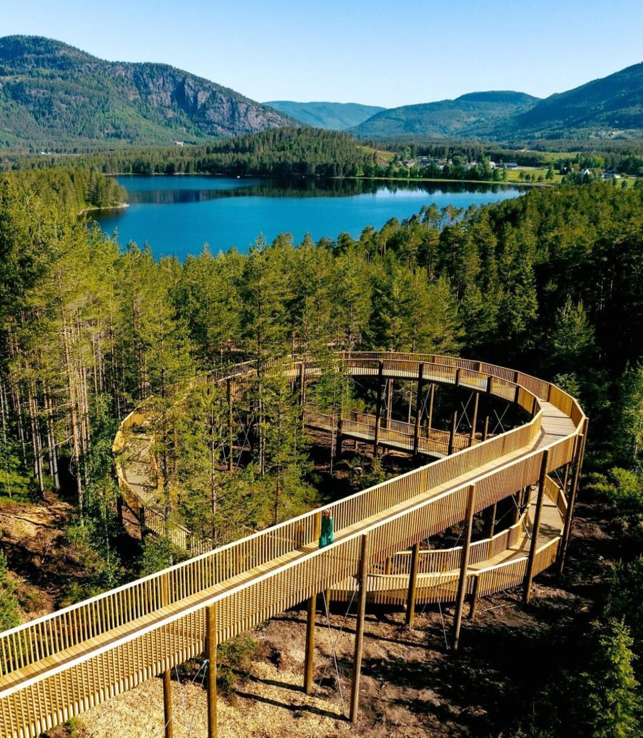 Modern Northern Lights Cabin Drangedal Exteriör bild